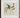 Framed colorful rooster bird art print in taguchi tomoki style from kono bairei collection for history nerds