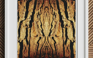 Framed abstract artwork featuring a trippy tree trunk bark pattern perfect for botanical op art enthusiasts