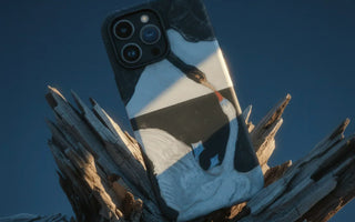 Back side of a swan-themed bird art iphone case inspired by toby leon and taguchi tomoki in soft pastel colors