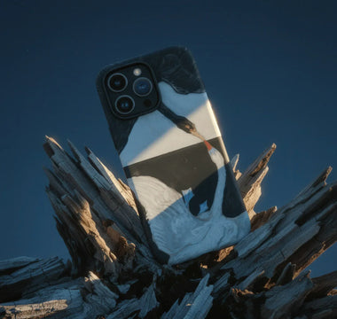Back side of a swan-themed bird art iphone case inspired by toby leon and taguchi tomoki in soft pastel colors
