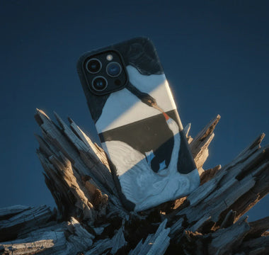 9 Bird Iphone Cases Rewriting Art and Sky - Bird Art Iphone, Toby Leon, Taguchi Tomoki