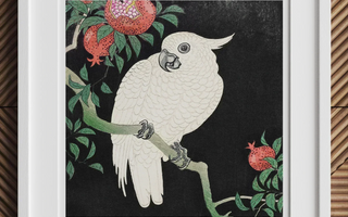White cockatoo perched on a branch with pomegranate fruits inspired by ohara koson shin-hanga japanese woodblock style