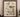 Botanical illustration of colorful butterflies and flowers highlighting william forsell kirby and victorian entomology insect classification