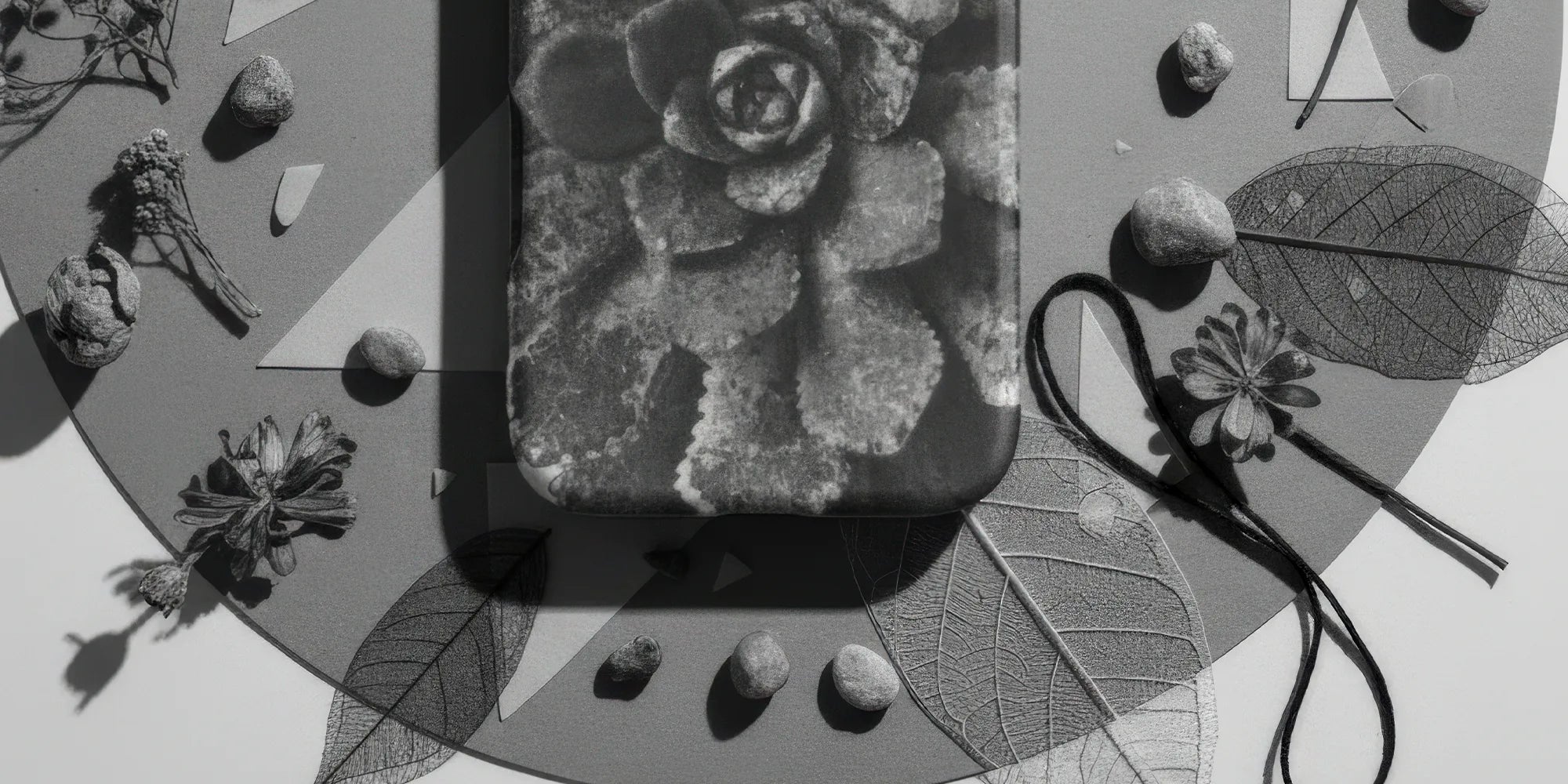 IPhone case with a black and white nature-inspired design featuring spiral shells and pine trees.