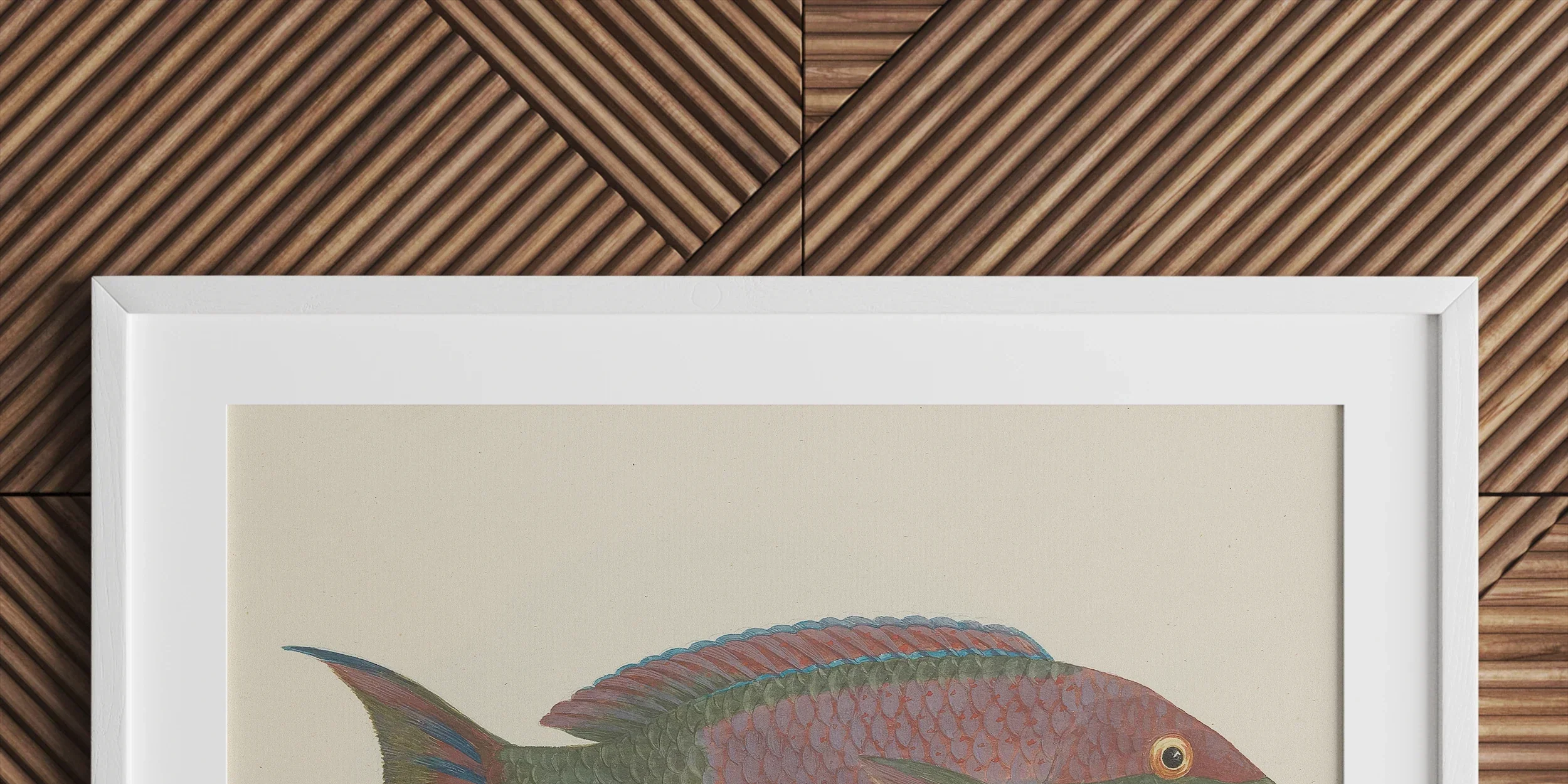 Framed illustration of a colorful tropical fish with pink and green scales.