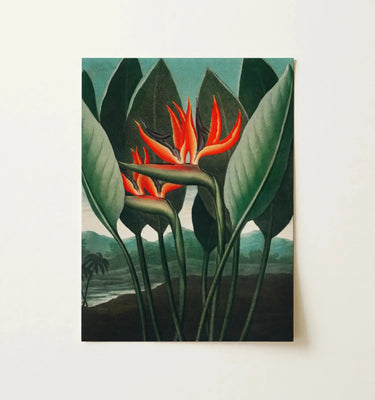 Floral Wall Art featuring vibrant pink flowers and hummingbirds in a picturesque landscape.