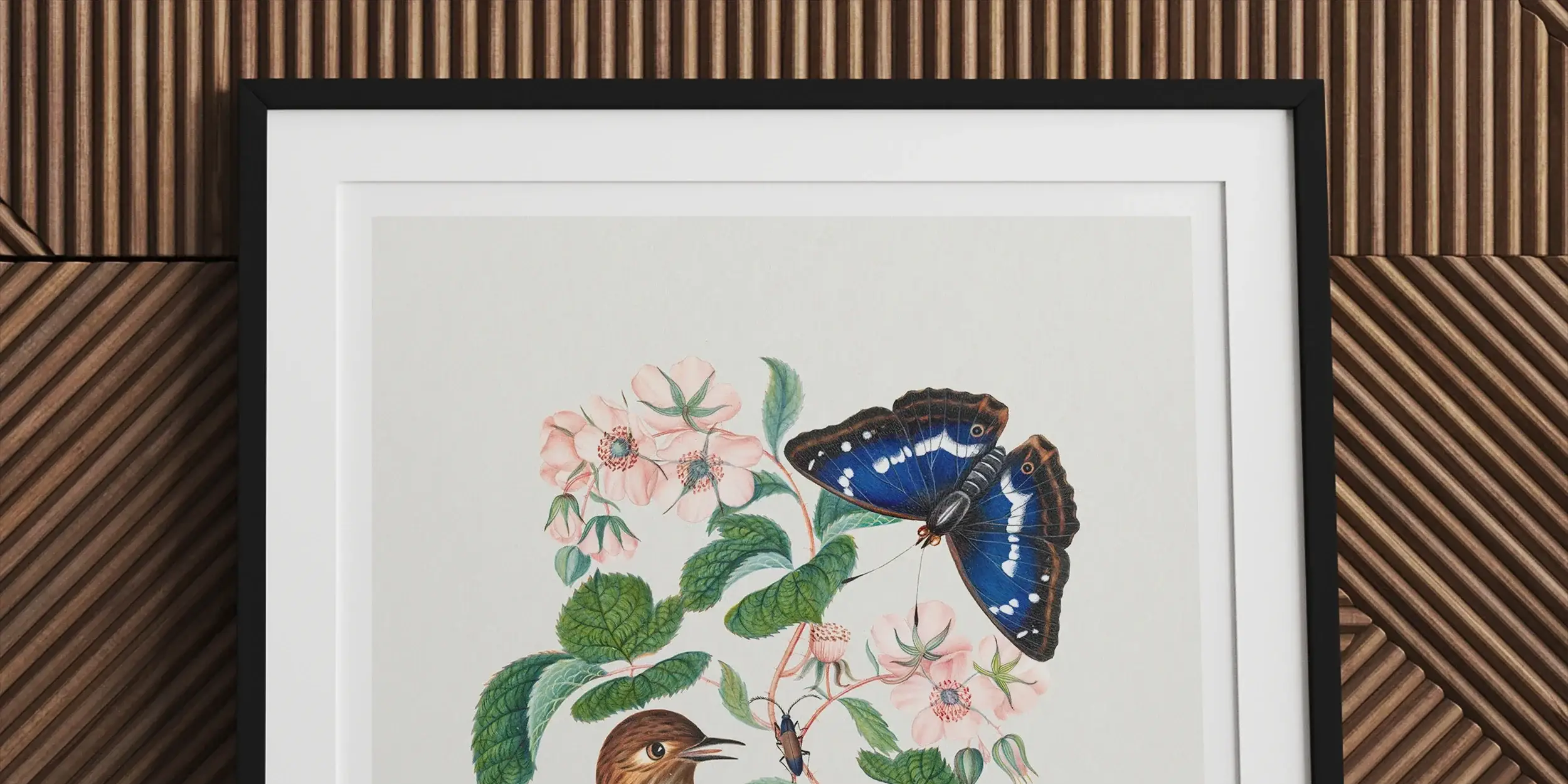 Colorful illustration featuring a bird perched among blue flowers, butterflies, and a seashell.