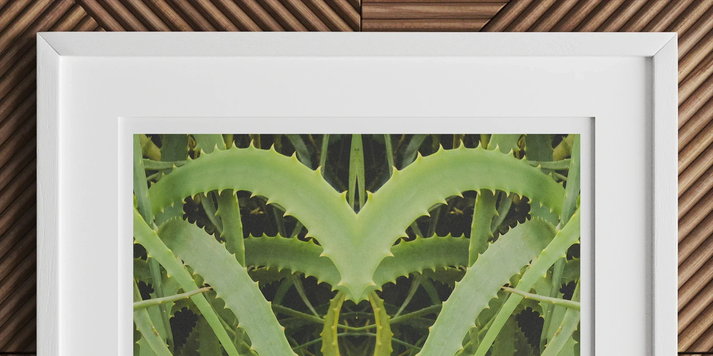 Framed artwork featuring a symmetrical green plant pattern resembling aloe vera leaves.