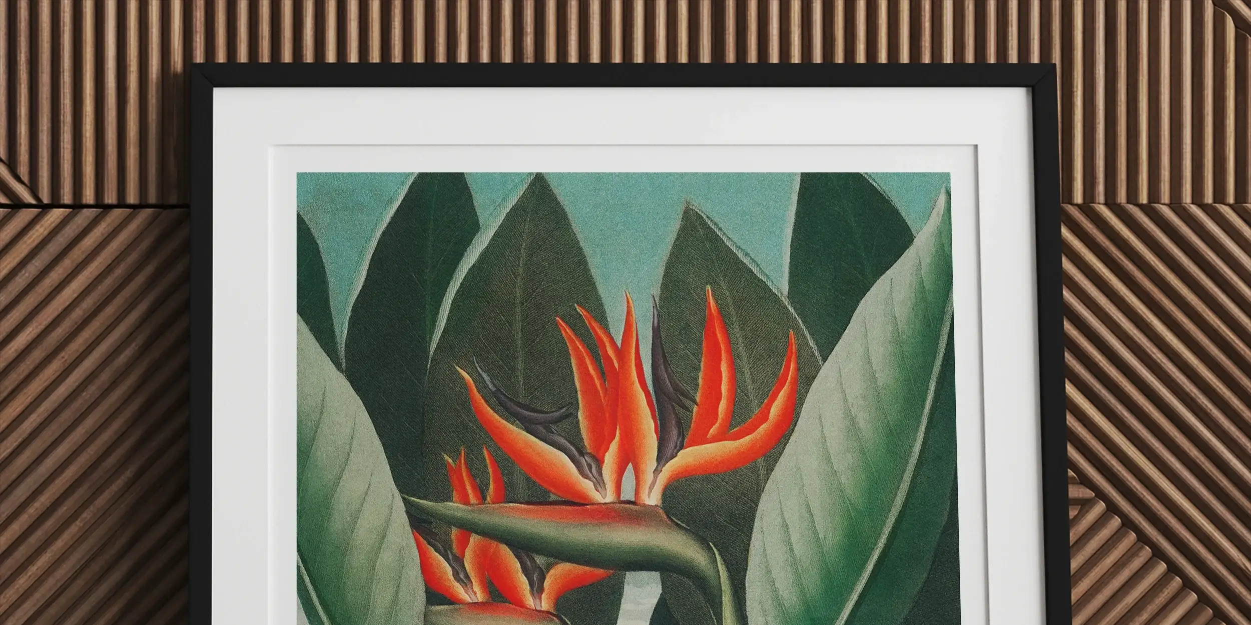 Vibrant orange and red bird of paradise flowers with green leaves.