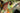 Woman in green sari, B1G1 image