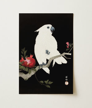 Cockatoo and Pomegranate - Ohara Koson Art Print