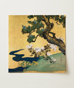 Paulownias et chrysanthèmes - impression d’art de Sakai Hoitsu