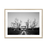 Abandoned Home in Rural Maryland - Carol M. Highsmith Art Print, Framed Black White Photograph Isolated Farmhouse Bare Trees