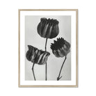 Abutilon (lime Mallow) Pod - Karl Blossfeldt Art Print, Black White Botanical Print Three Tulip Flowers Stems