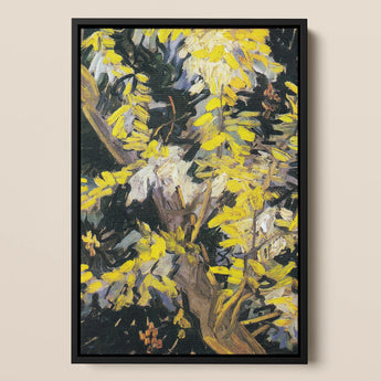 Acacia Branches - Vincent Van Gogh Art Print / Canvas, 12x18’’ / 31x46cm / Black Frame, Posters Prints & Visual Artwork, Toby Leon