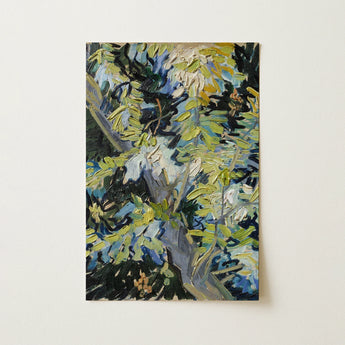 Acacia Branches - Vincent Van Gogh Art Print / Canvas, 12x18’’ / 31x46cm / Unframed / no Border, Posters Prints & Visual Artwork, Toby Leon