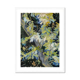 Acacia Branches - Vincent Van Gogh Art Print, Impasto Tree Painting White Frame