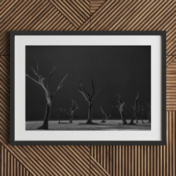 Acacia Trees of Deadvlei Art Print, 30x20’’ / 76x51cm / Black Frame / 2’’ Matboard, Framed Black White Photograph Dead Trees Desolate