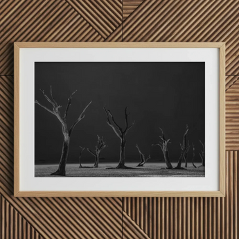 Acacia Trees of Deadvlei Art Print, 30x20’’ / 76x51cm / Natural Frame / 2’’ Matboard, Framed Black White Photograph Dead Trees Stark