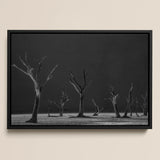 Lámina artística Acacia Trees of Deadvlei / Lienzo, 17x12’’ / A3 / Marco negro, Pósters, impresiones y obra visual, Toby Leon