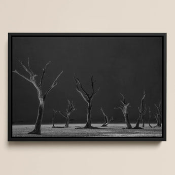 Lámina artística Acacia Trees of Deadvlei / Lienzo, 17x12’’ / A3 / Marco negro, Pósters, impresiones y obra visual, Toby Leon