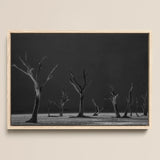 Lámina artística Acacia Trees of Deadvlei / Lienzo, 17x12’’ / A3 / Marco natural, Pósters, impresiones y obra visual, Toby Leon