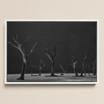 Lámina artística Acacia Trees of Deadvlei / Lienzo, 17x12’’ / A3 / Marco blanco, Pósters, impresiones y obra visual, Toby Leon