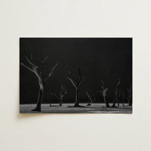 Acacia Trees of Deadvlei Art Print / Canvas, 18x12’’ / 46x31cm / Unframed / no Border, Posters Prints & Visual Artwork, Toby Leon