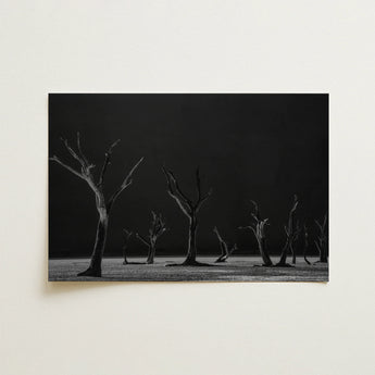 Acacia Trees of Deadvlei Art Print / Canvas, 18x12’’ / 46x31cm / Unframed / no Border, Posters Prints & Visual Artwork, Toby Leon