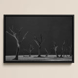 Acacia Trees of Deadvlei Art Print / Canvas Black-framed Black-and-white Photographic Bare Skeletal Dark, Namib-naukluft Park, Salt-white