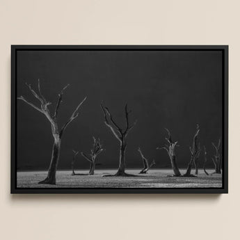 Acacia Trees of Deadvlei Art Print / Canvas Black-framed Black-and-white Photographic Bare Skeletal Dark, Namib-naukluft Park, Salt-white