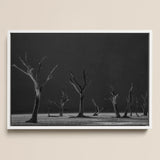 Acacia Trees of Deadvlei Art Print / Canvas Black-and-white Framed Photograph Bare Skeletal Trees Dark Sky Acacia Trees, Namib-naukluft