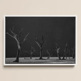 Acacia Trees of Deadvlei Art Print / Canvas Black-and-white Framed Photograph Bare Skeletal Dark Sky, Namib-naukluft Park, Salt-white Clay