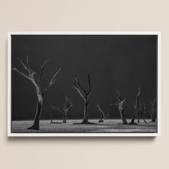 Acacia Trees of Deadvlei Art Print / Canvas Black-and-white Framed Photograph Bare Skeletal Dark Sky, Namib-naukluft Park, Salt-white Clay