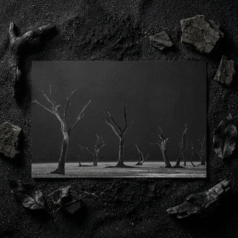 Acacia Trees of Deadvlei Art Print / Canvas Black-and-white Photographic Desolate Landscape Bare Skeletal, Namib-naukluft Park, Salt-white