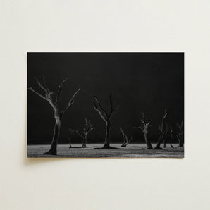 Acacia Trees of Deadvlei Art Print / Canvas Black-and-white Photographic Skeletal Dark Background, Namib-naukluft Park, Salt-white Clay