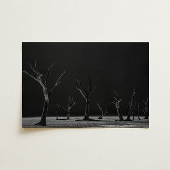 Acacia Trees of Deadvlei Art Print / Canvas Black-and-white Photographic Print Skeletal Trees Dark Background Acacia Trees, Namib-naukluft