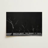 Acacia Trees of Deadvlei Art Print / Canvas Black-and-white Photographic Skeletal Dark Background, Namib-naukluft Park, Salt-white Clay