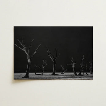 Acacia Trees of Deadvlei Art Print / Canvas Black-and-white Photographic Skeletal Dark Background, Namib-naukluft Park, Salt-white Clay