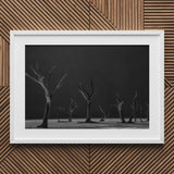 Acacia Trees of Deadvlei Art Print / Canvas Framed Black White Photograph Dead Desolate Landscape Skeletal, Namib-naukluft Park, Salt-white