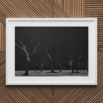 Acacia Trees of Deadvlei Art Print / Canvas Framed Black White Photograph Dead Desolate Landscape Skeletal, Namib-naukluft Park, Salt-white