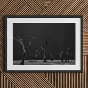 Acacia Trees of Deadvlei Art Print / Canvas Framed Black White Photograph Dead Desolate Landscape Skeletal, Namib-naukluft Park, Salt-white