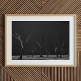 Acacia Trees of Deadvlei Art Print / Canvas Framed Black White Photograph Dead Trees Stark Landscape Skeletal Acacia Trees, Namib-naukluft