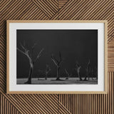Acacia Trees of Deadvlei Art Print / Canvas Framed Black White Photograph Dead Stark Landscape Skeletal, Namib-naukluft Park, Salt-white