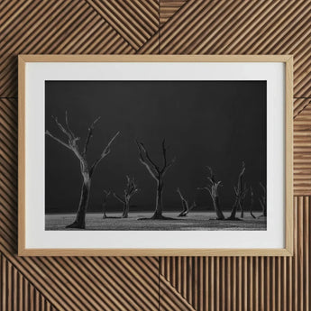 Acacia Trees of Deadvlei Art Print / Canvas Framed Black White Photograph Dead Stark Landscape Skeletal, Namib-naukluft Park, Salt-white