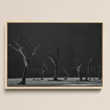 Acacia Trees of Deadvlei Art Print / Canvas Minimalist Black-and-white Framed Photograph Stark Leafless Dark Skeletal, Namib-naukluft Park,