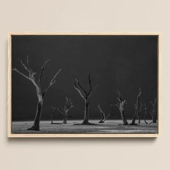 Acacia Trees of Deadvlei Art Print / Canvas Minimalist Black-and-white Framed Photograph Stark Leafless Dark Skeletal, Namib-naukluft Park,