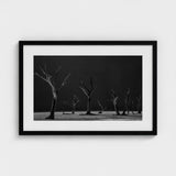 Acacia Trees of Deadvlei Art Print / Canvas Skeletal, Namib-naukluft Park, Salt-white Clay Prints