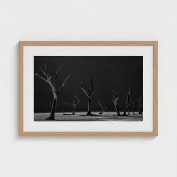 Acacia Trees of Deadvlei Art Print / Canvas Skeletal, Namib-naukluft Park, Salt-white Clay Prints