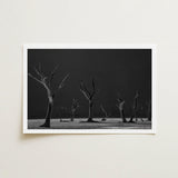 Acacia Trees of Deadvlei Art Print / Canvas Skeletal, Namib-naukluft Park, Salt-white Clay Prints